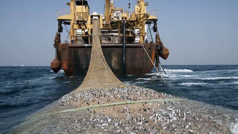 全球最大渔船,一次可捕鱼1500吨,可同时供100万人食用