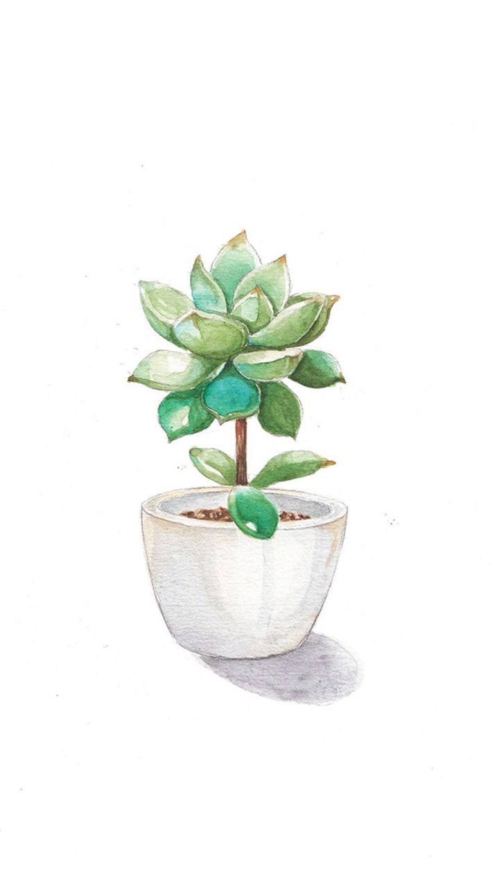 精美壁纸大放送:美景,手绘,多肉都在这里,总有你会喜欢的哦