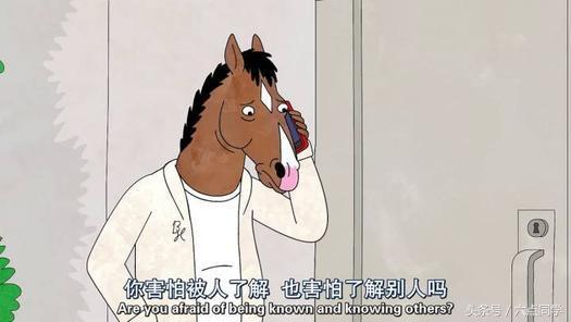 给我来瓶酒,敬这一场去他妈的人生