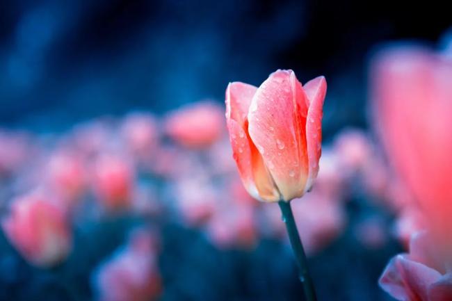 清明天气预报来了!含山连续三天都