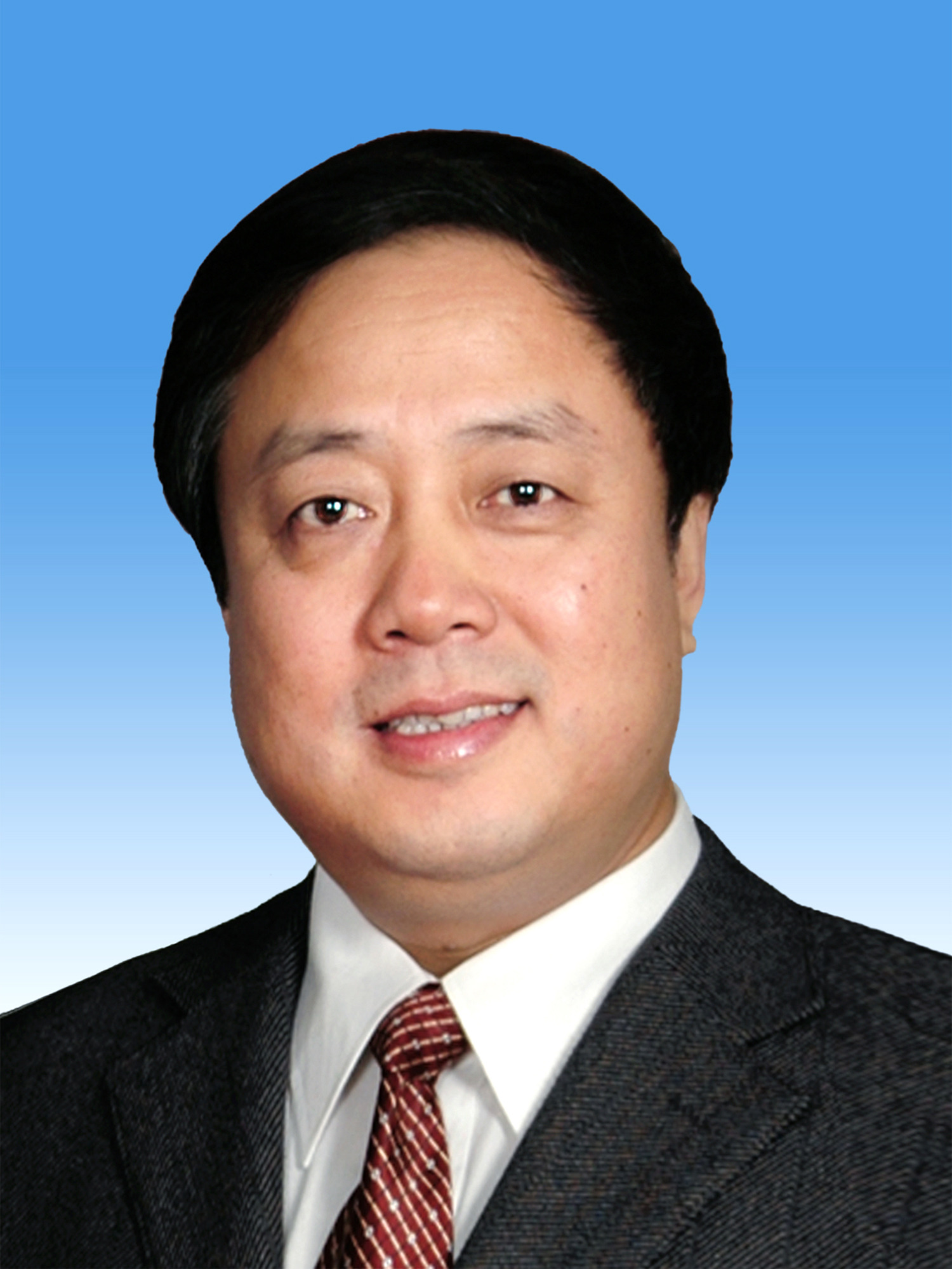 第十三届全国人民代表大会常务委员会副委员长武维华