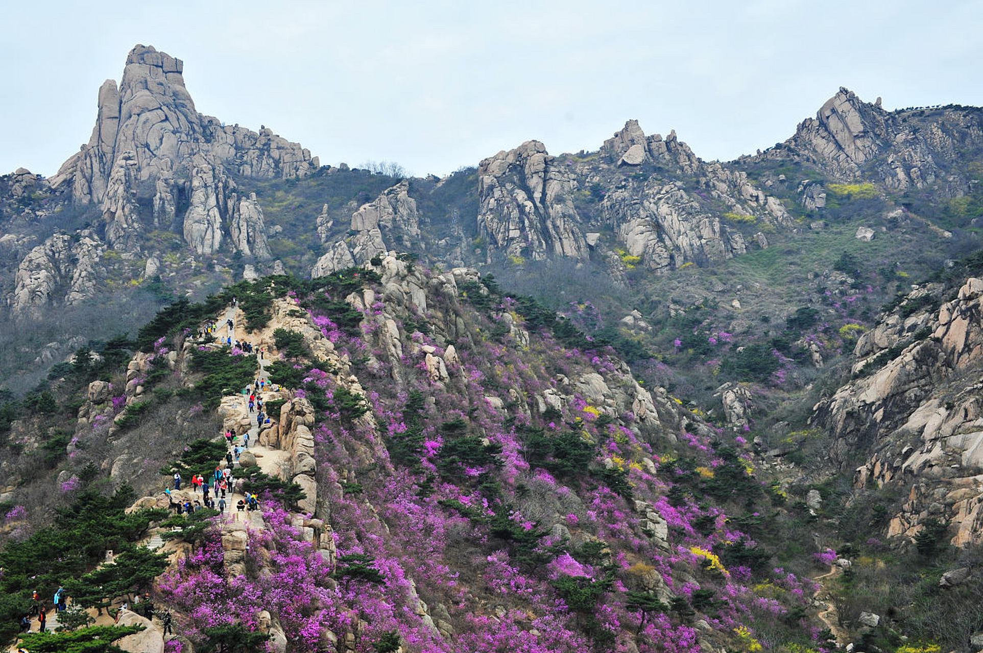 黄岛大珠山图片