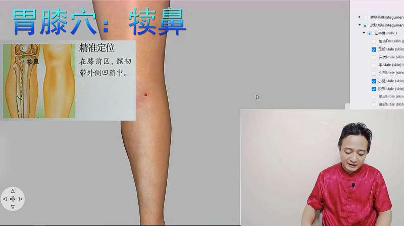 犊鼻穴的定位和取穴,健康养生,健康常识,好看视频