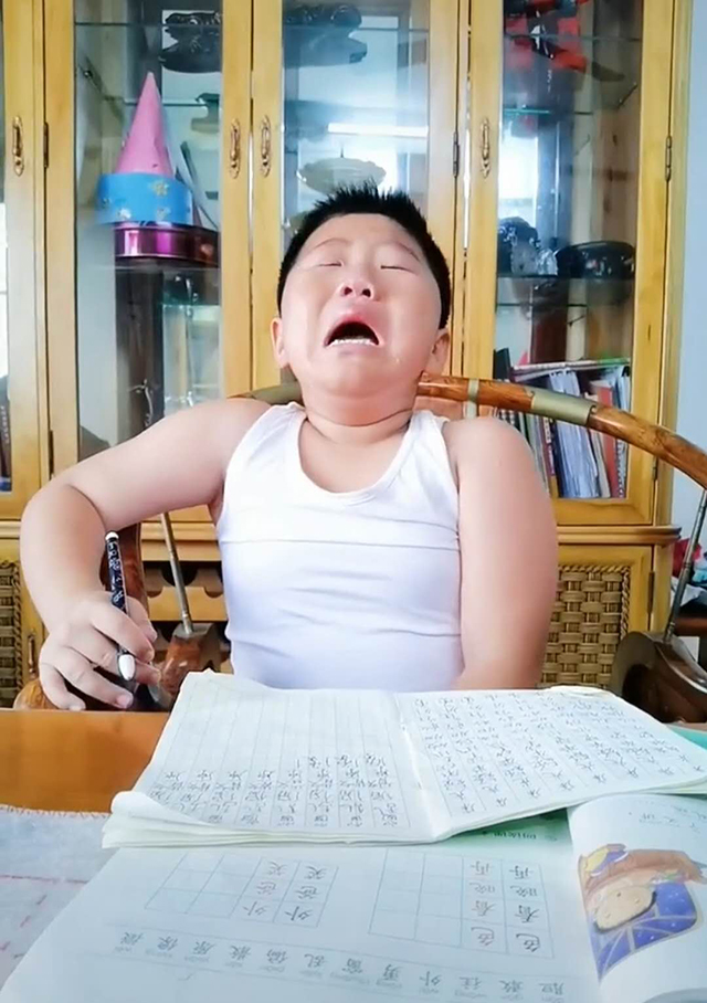 儿子一写作业就哭天抢地,爸妈无计可施,网友:颇有我当年风范