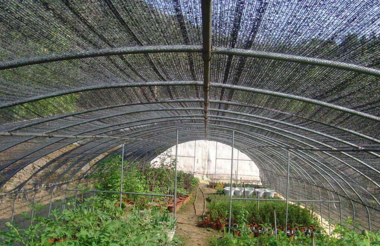 蔬菜遮阳网覆盖栽培技术介绍,了解功能学会正确选用