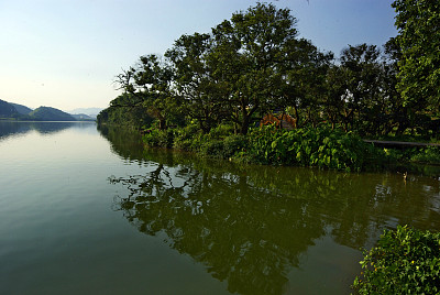 广州增城:鹤之洲湿地公园,这里的景色真的非常好看