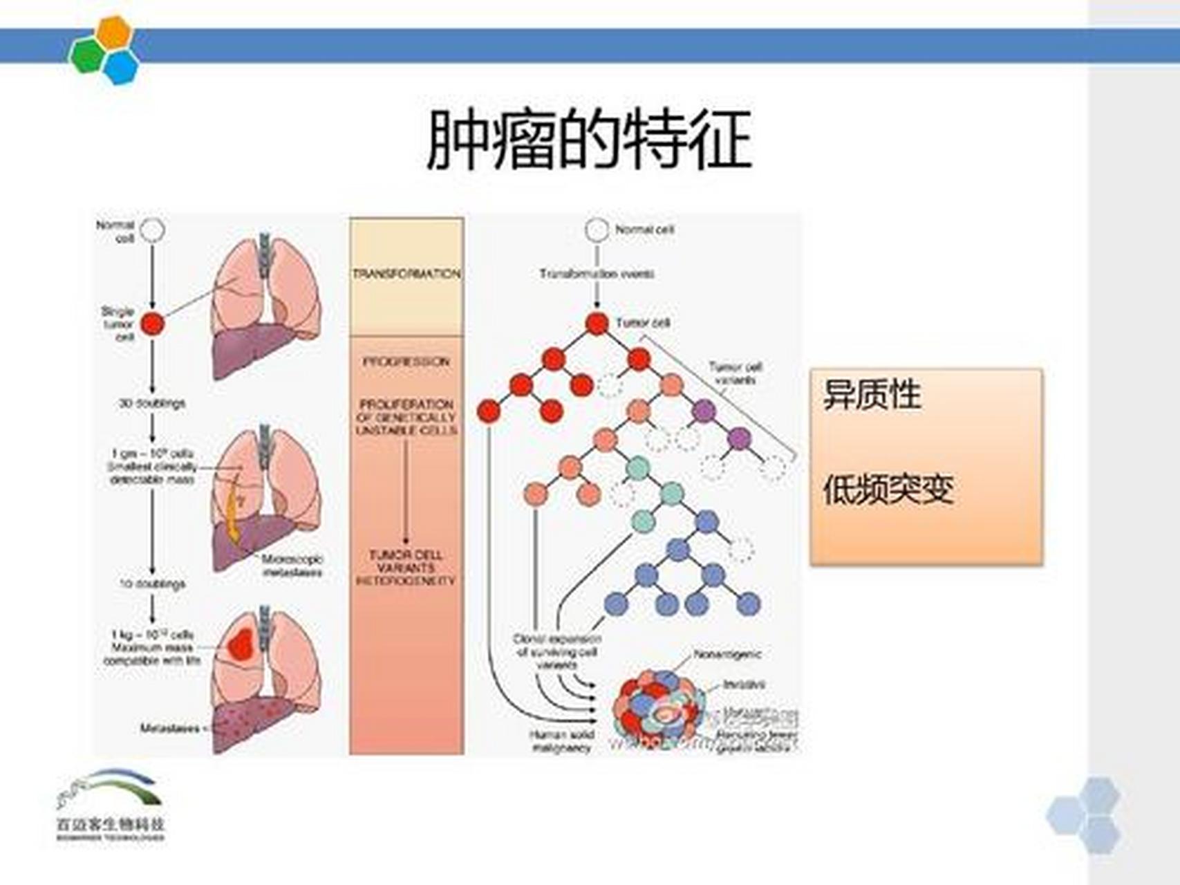科普知识竞赛#糖链抗原50又称糖类抗原50,其是一种以唾液酸脂和唾液
