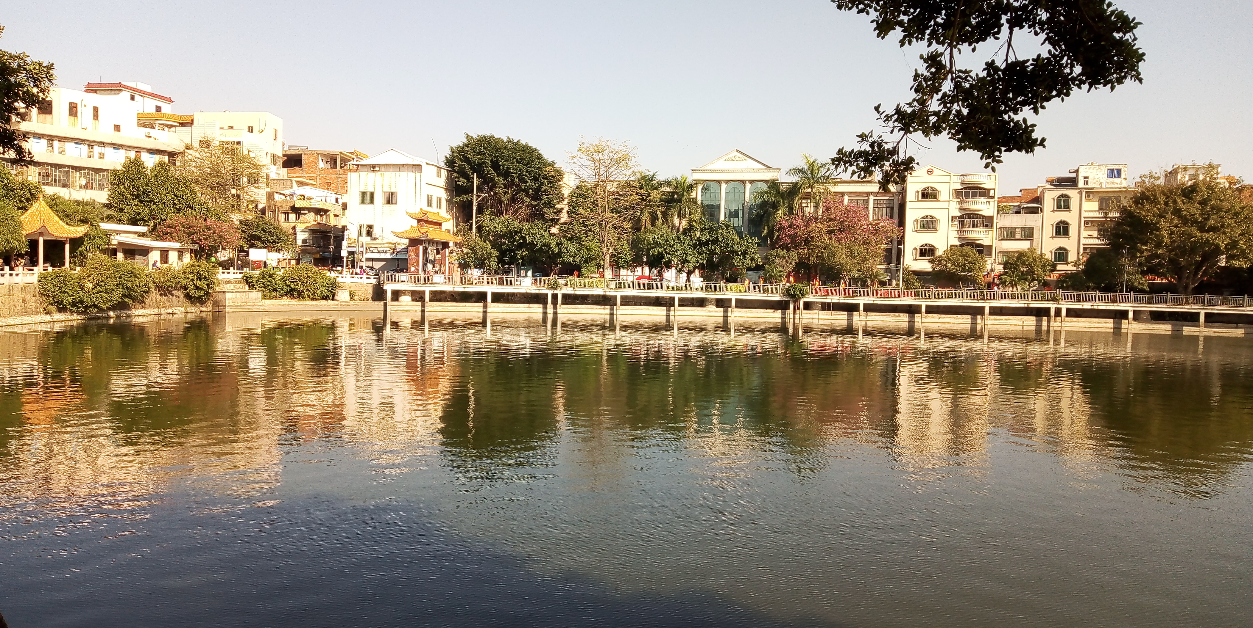 广东吴川市大塘公园实拍,这里湖面波光粼粼,湖边清风送爽