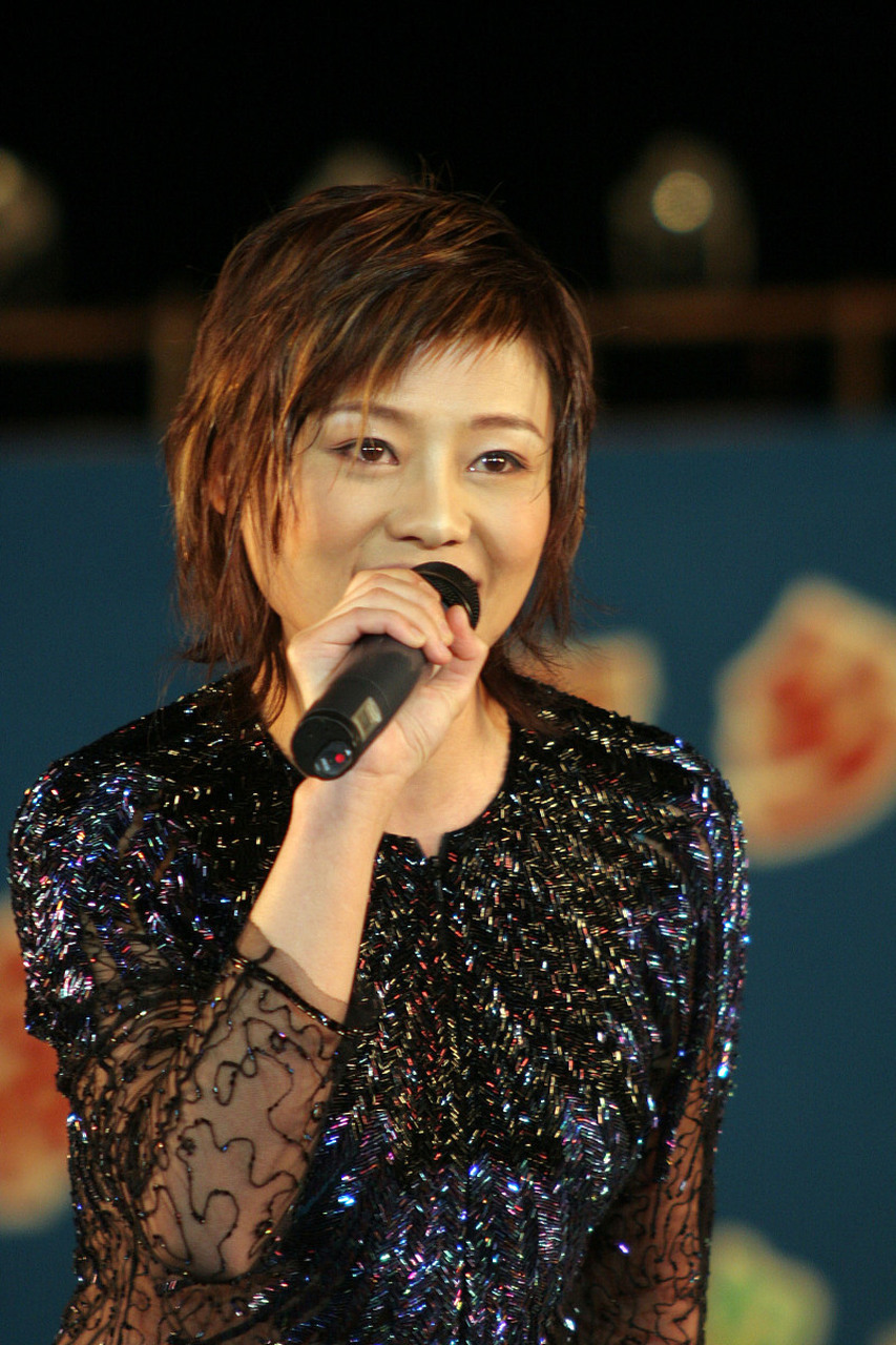 近日,歌手何静的一篇博文在网络上引发热议.