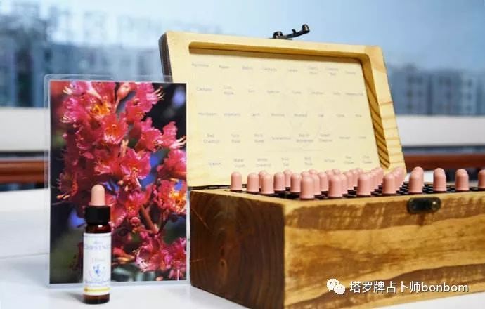 神奇的花精疗愈——情绪好帮手