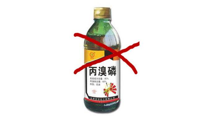 柑橘中丙溴磷超标九倍被下令禁用,果农可用这些产品代替