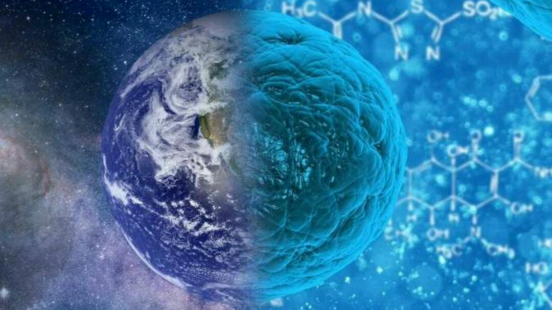 难道地球是一个生命?血管黑色,里面流动着石油!