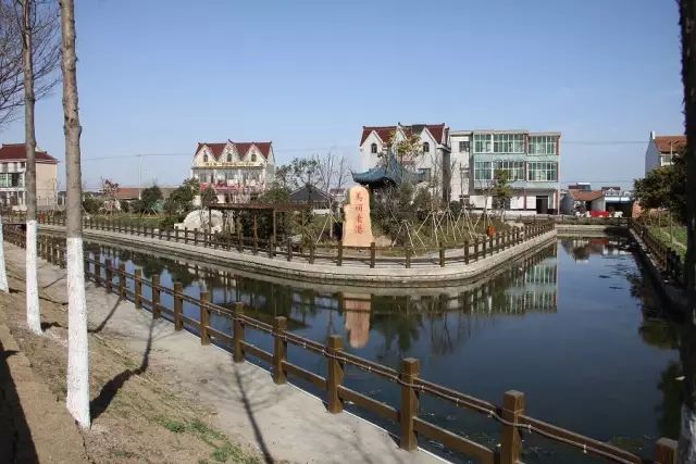 建设具有老港特色的江南田园!老港镇郊野单元规划草案公示啦