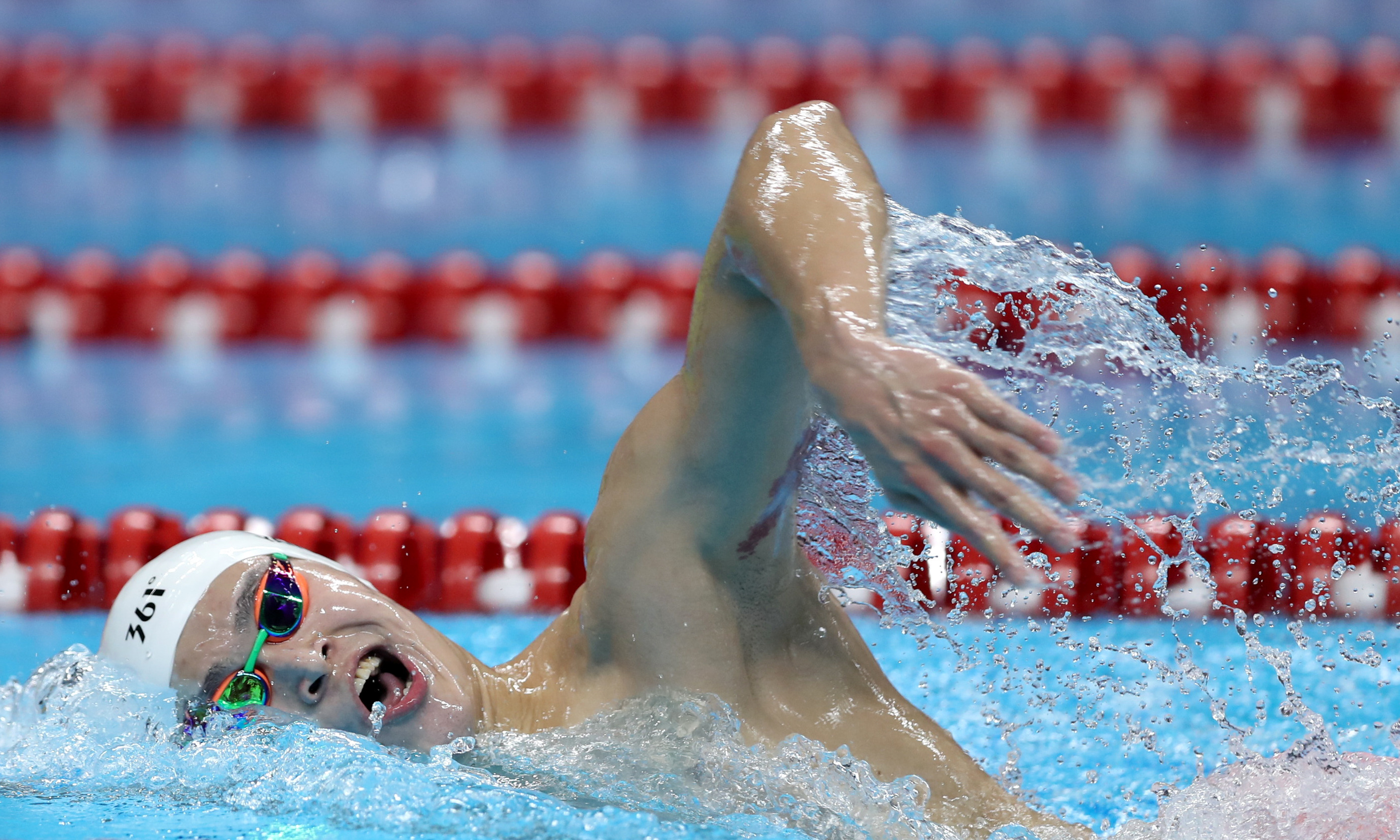 游泳——男子800米自由泳:孙杨夺冠(28)
