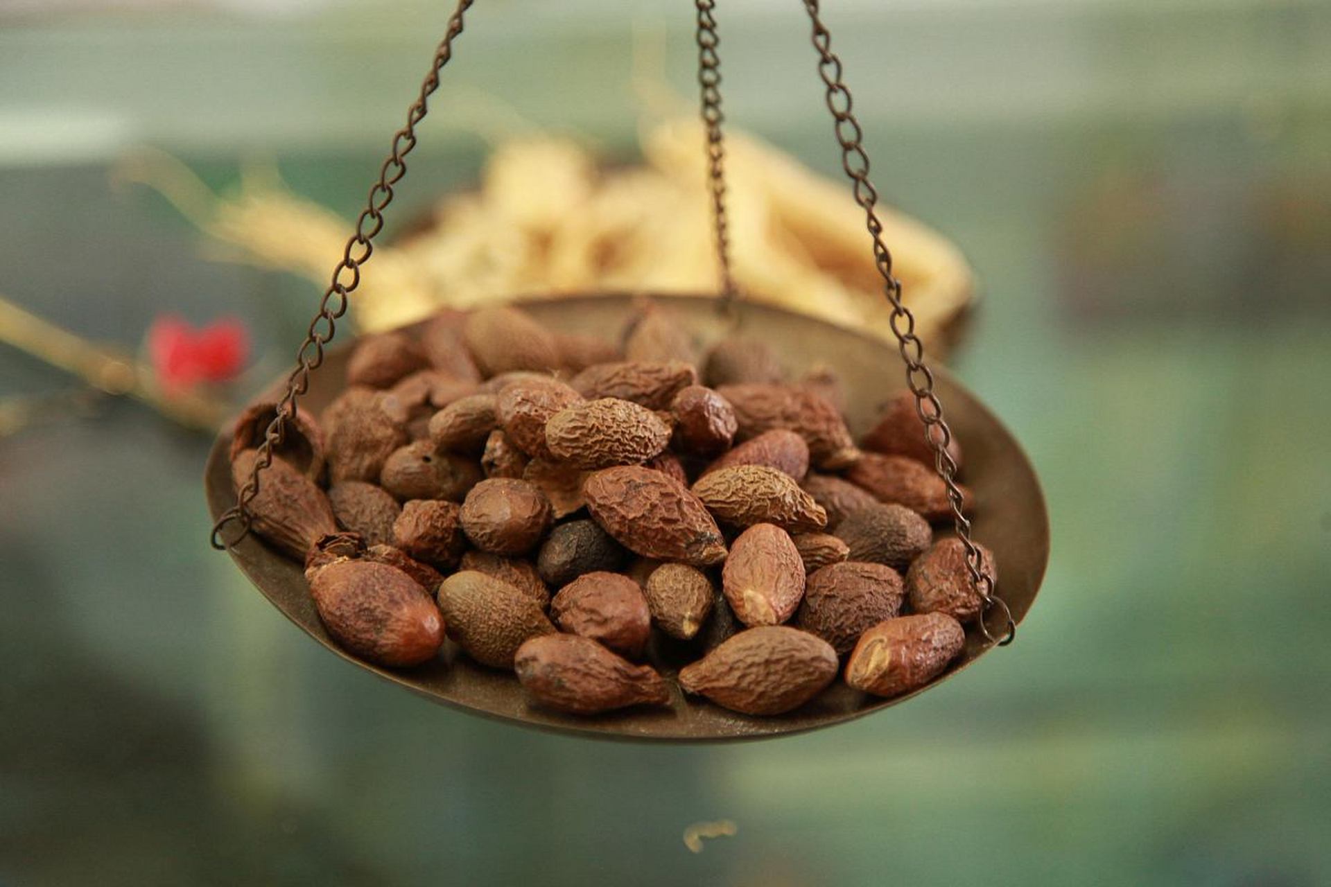 每天识一本草丨肉豆蔻 关于肉豆蔻,明·李时珍《本草纲目》这样写道