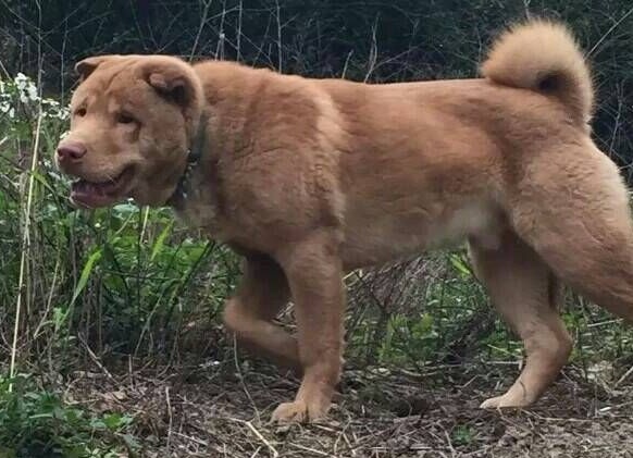 红- 热门商品专区