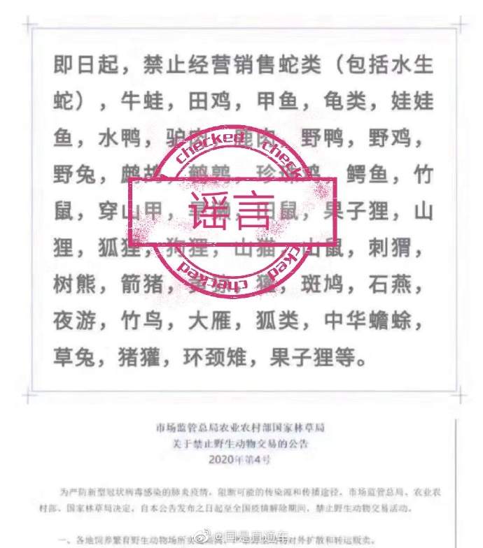 辟谣!网传牛蛙等列入禁食名录 相关部门:未发名单