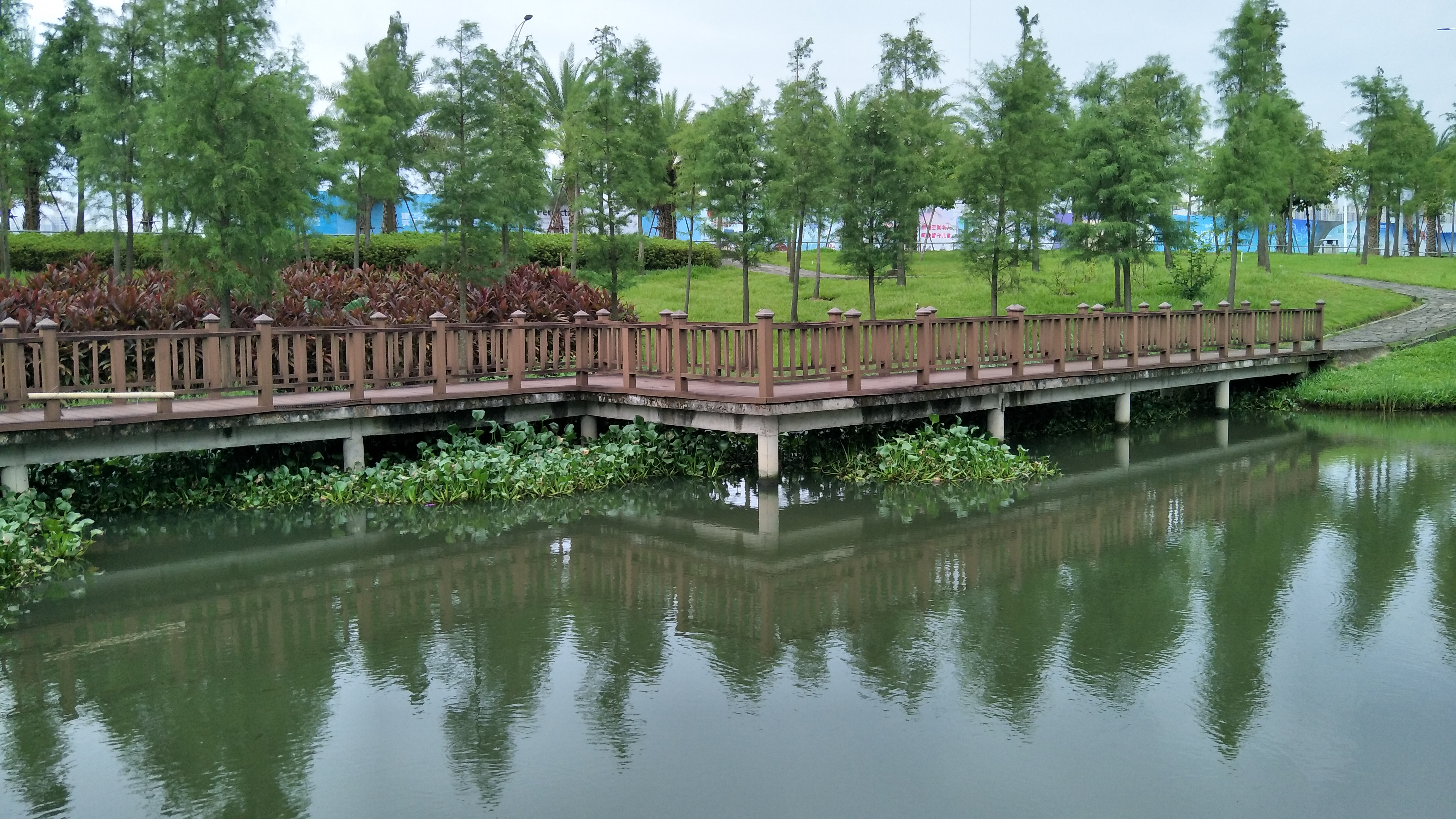 湛江滨湖公园图片