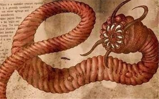 神秘的5种未知生命体,最后一种出现在我国,人们还曾多次遇到它