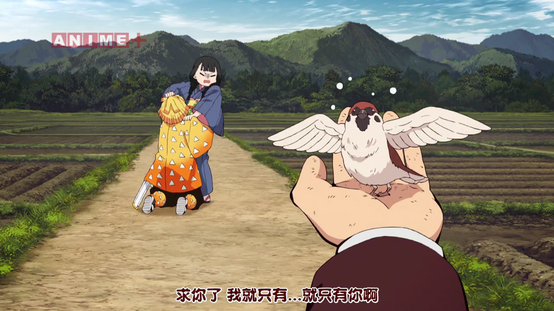 《鬼灭之刃》我妻善逸遇到灶门炭治郎,是小麻雀的灾难