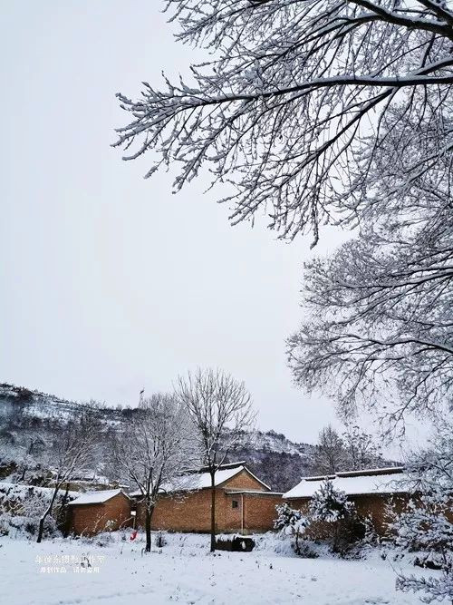 甘肃天水雪景图片