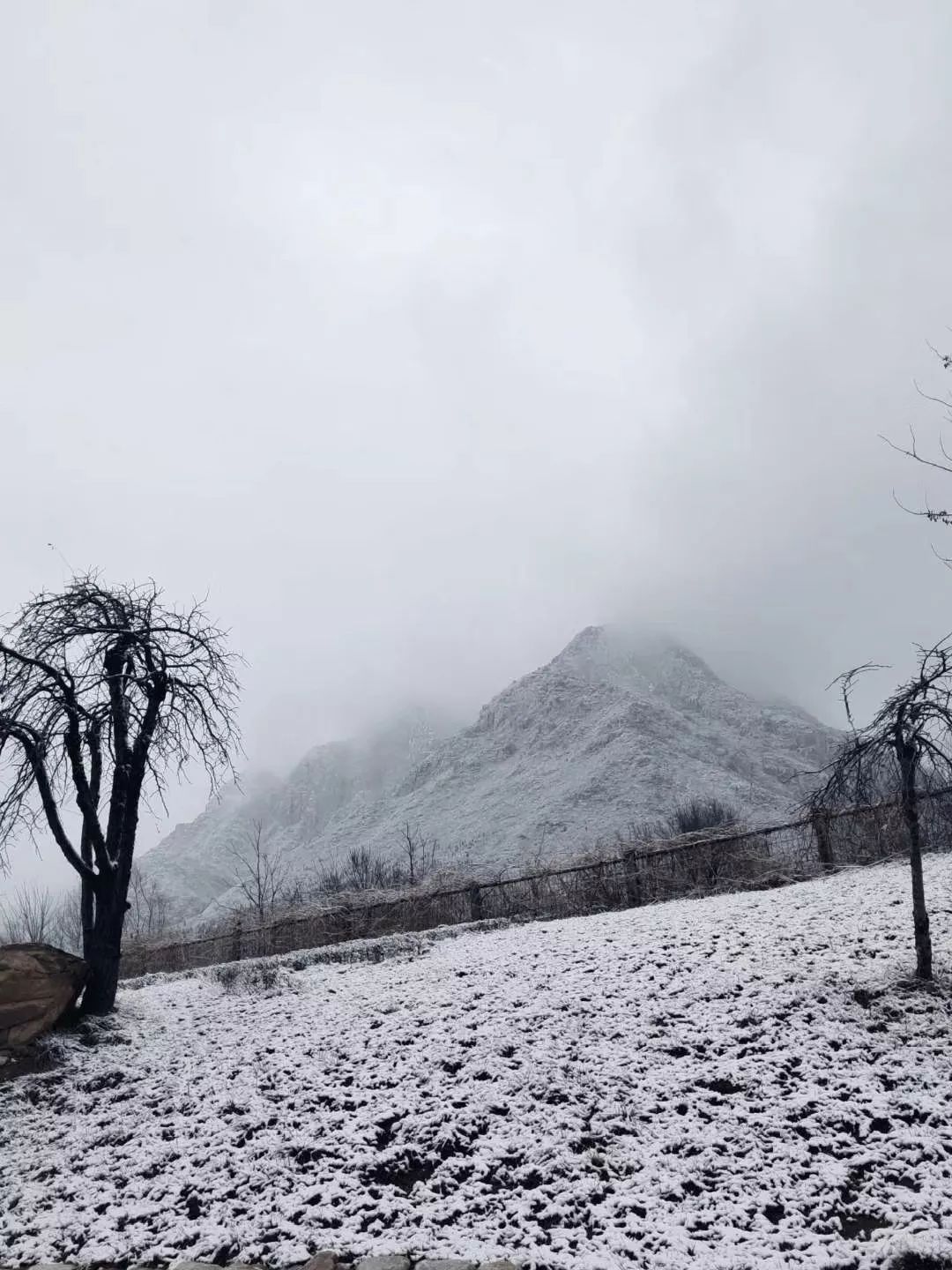 想玩雪,看雪不用去東北,嵩山已進入冰雪時代!