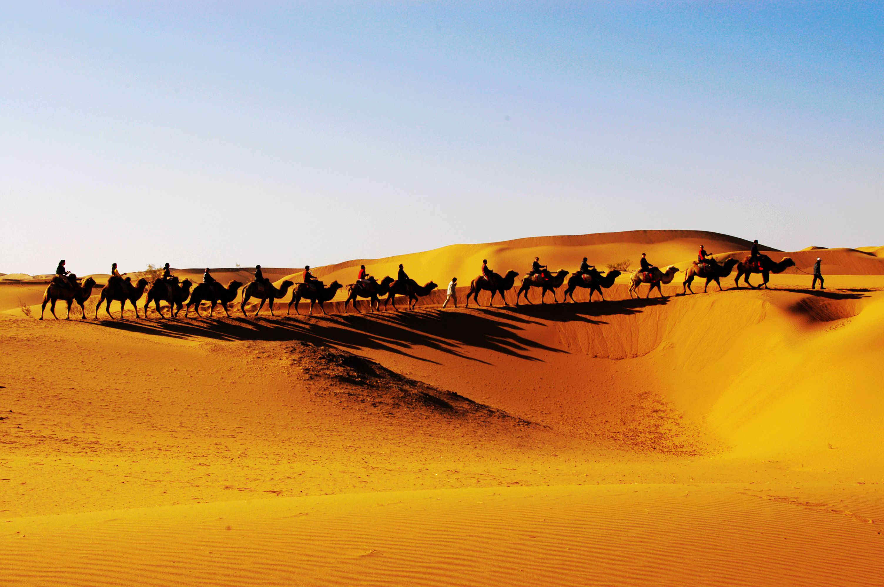 中国治沙30年已见成效,外国人表示佩服,却差点"毁"自己人手里