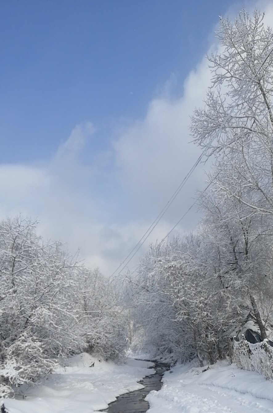 东北大雪,十年难遇