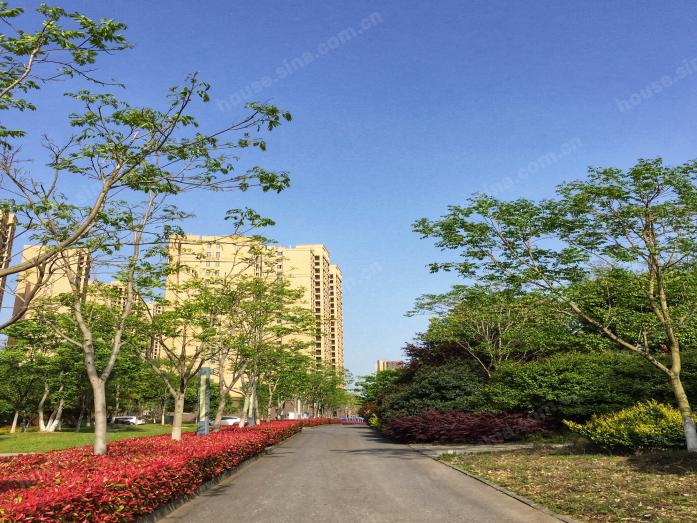 联投花山郡预计近期开盘加推新房源
