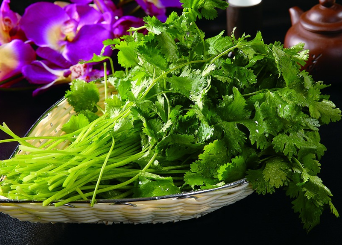 一根小香菜,常吃会有这6个好处,可惜很多人都不爱吃