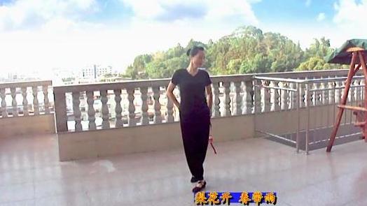 《梨花颂》飞燕轻盈演绎