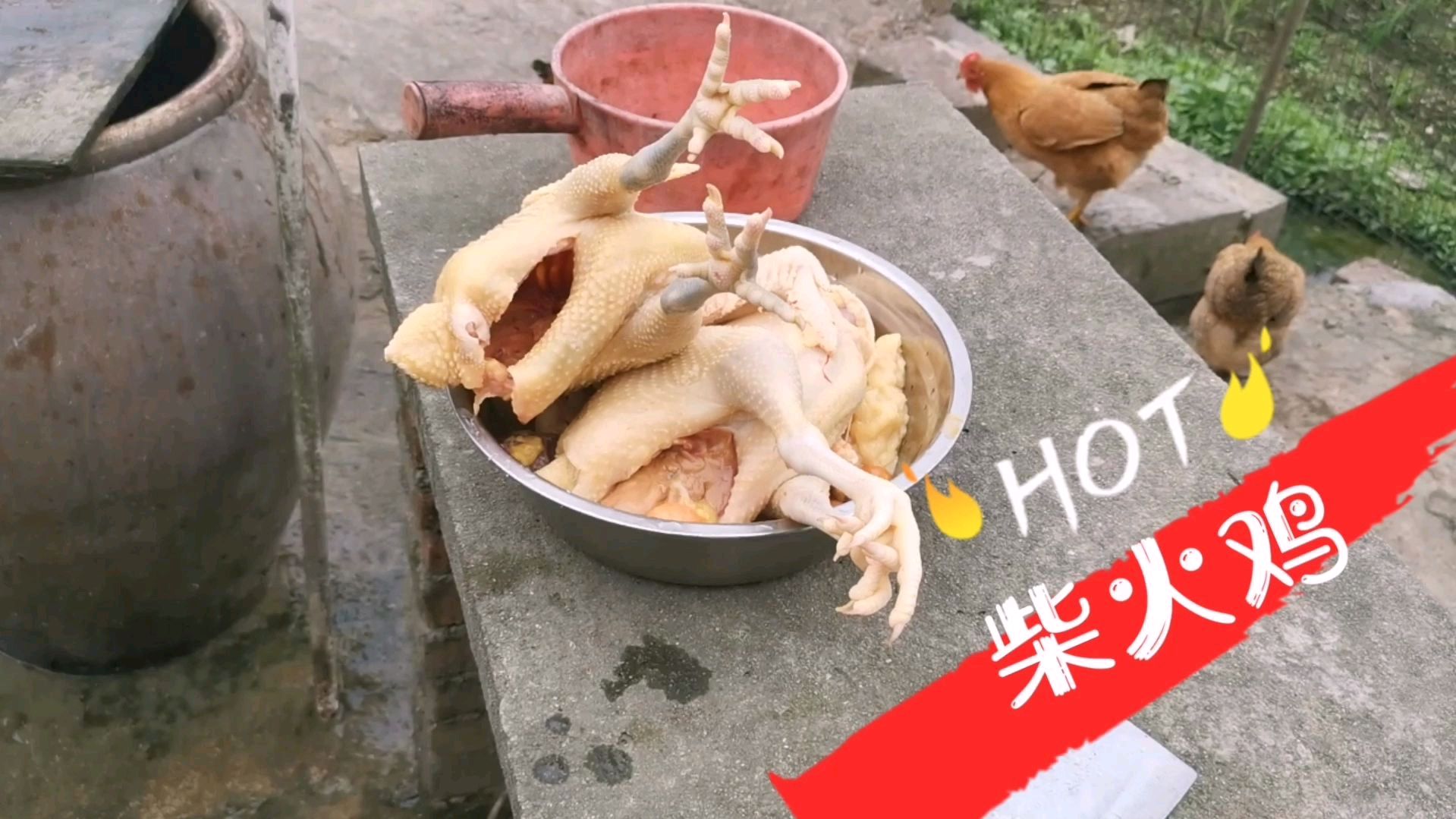 这样做的柴火鸡又香又好吃,色香味俱全,我都是流着口水炒完的