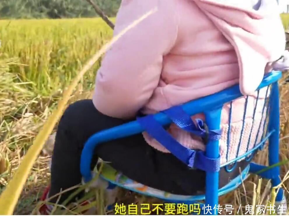 爷爷奶奶忙着收水稻, 将小女孩绑在椅子上, 孩子一动不动惹人笑!