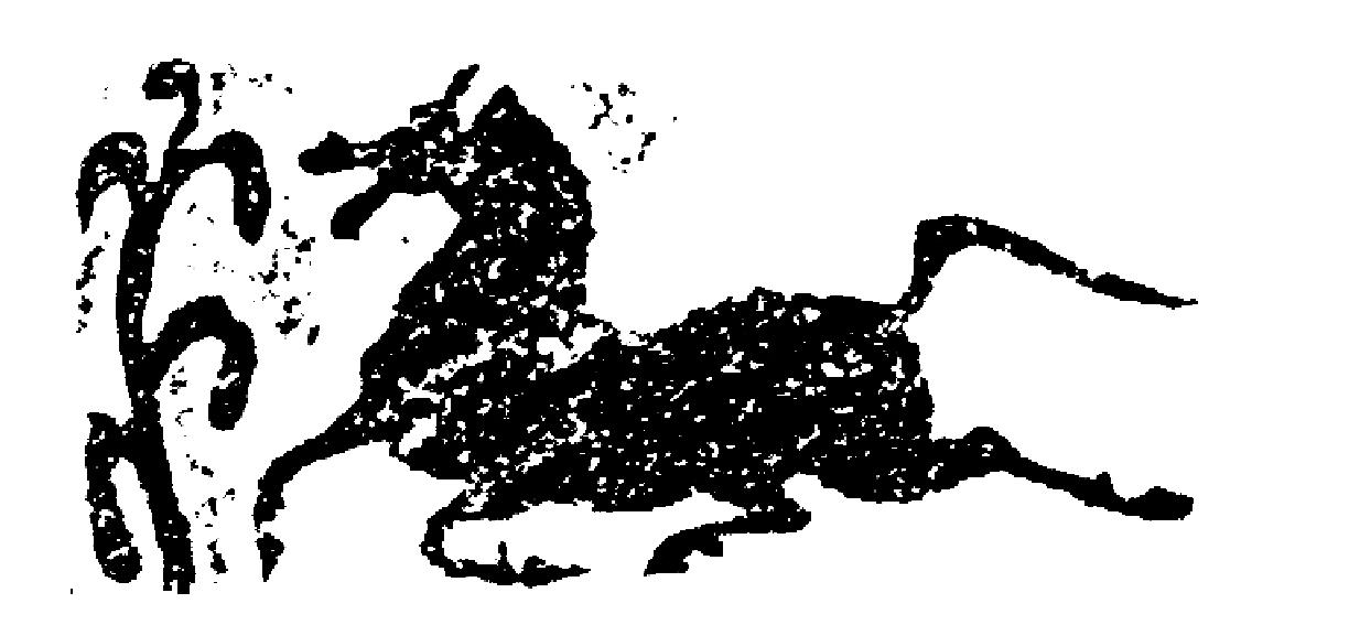 马,汉画像石,陕西绥德