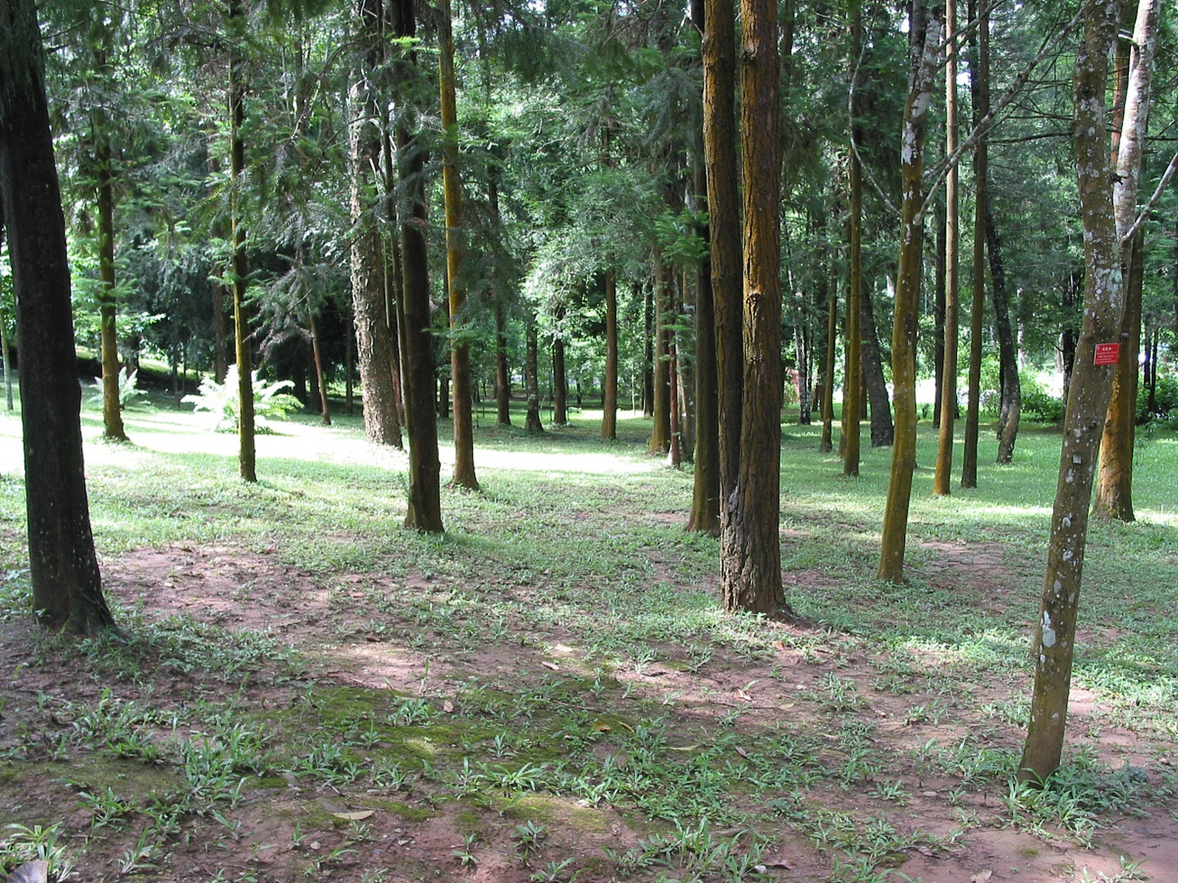 邻居家的孩子是北京林业大学的研究生,主修经济管理专业.