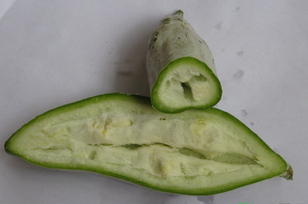 老鼠瓜怎么吃?老鼠瓜的功效与作用