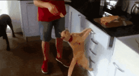 搞笑动态,第几张让你笑了?