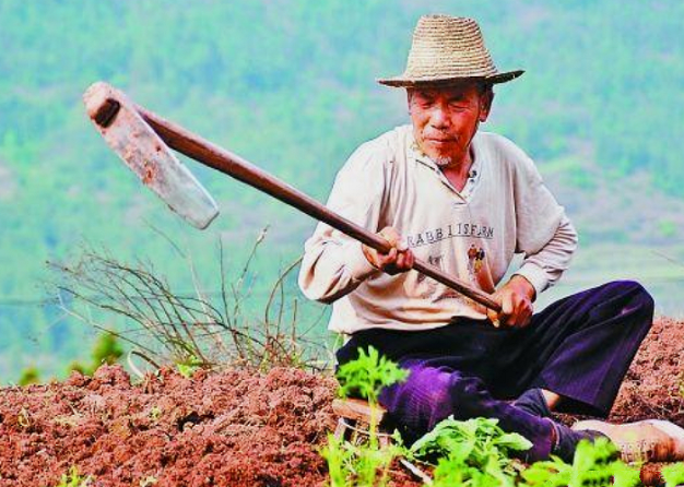 2005年的春天,家住武义县熟溪街道胡处村的农民王某吃过早饭,扛着一把