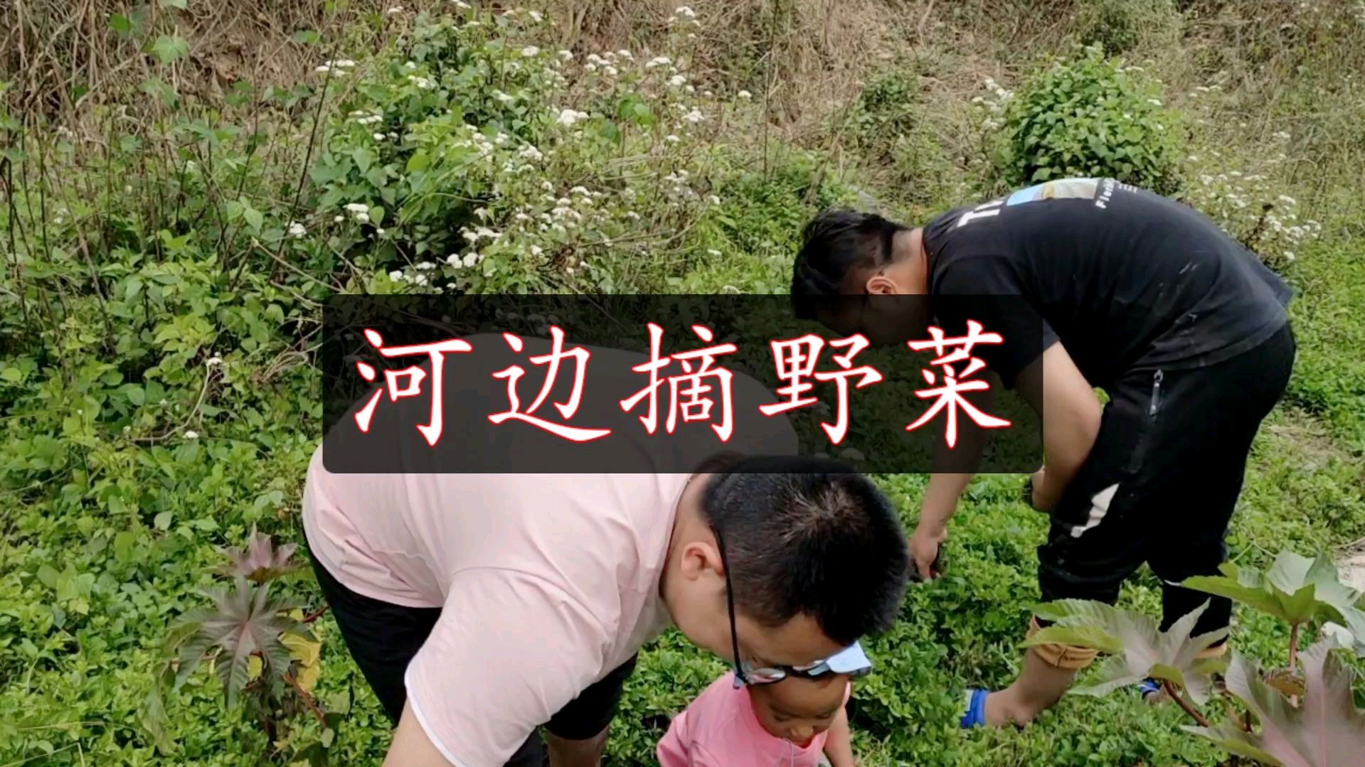 河边发现很多野菜,方言叫香香菜、野薄荷,煮鸡蛋清凉去火有营养