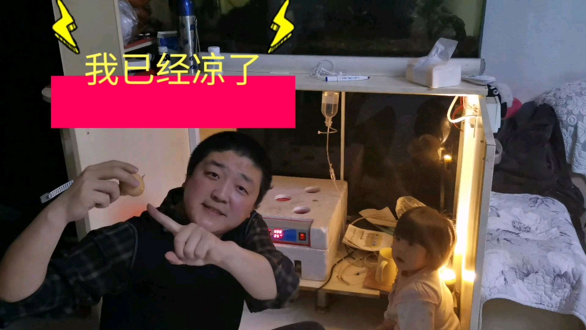鸡蛋壳已经破损了 用胶带粘上 不知道还能不能出壳