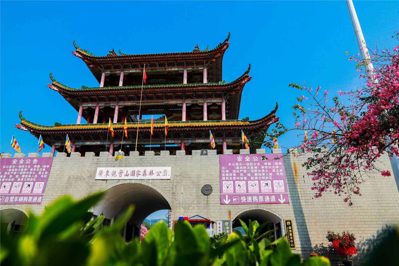 广东尽然开始卖空气?一袋需要九块九,是炒作还是真有其事呢?