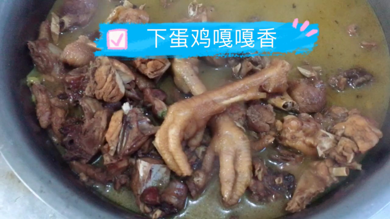 春季吃什么,吃下蛋母鸡营养丰富,口感特别好,人间美味