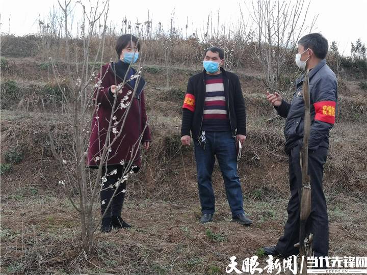 盘州市旧营乡:疫情防控不松劲,春耕生产不误时!
