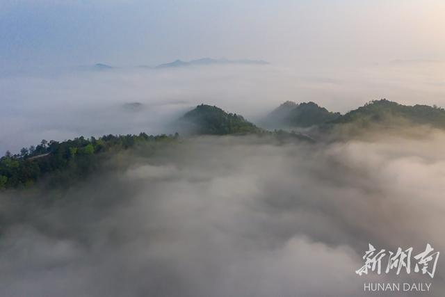 平江将军山:晨雾缥缈似仙境