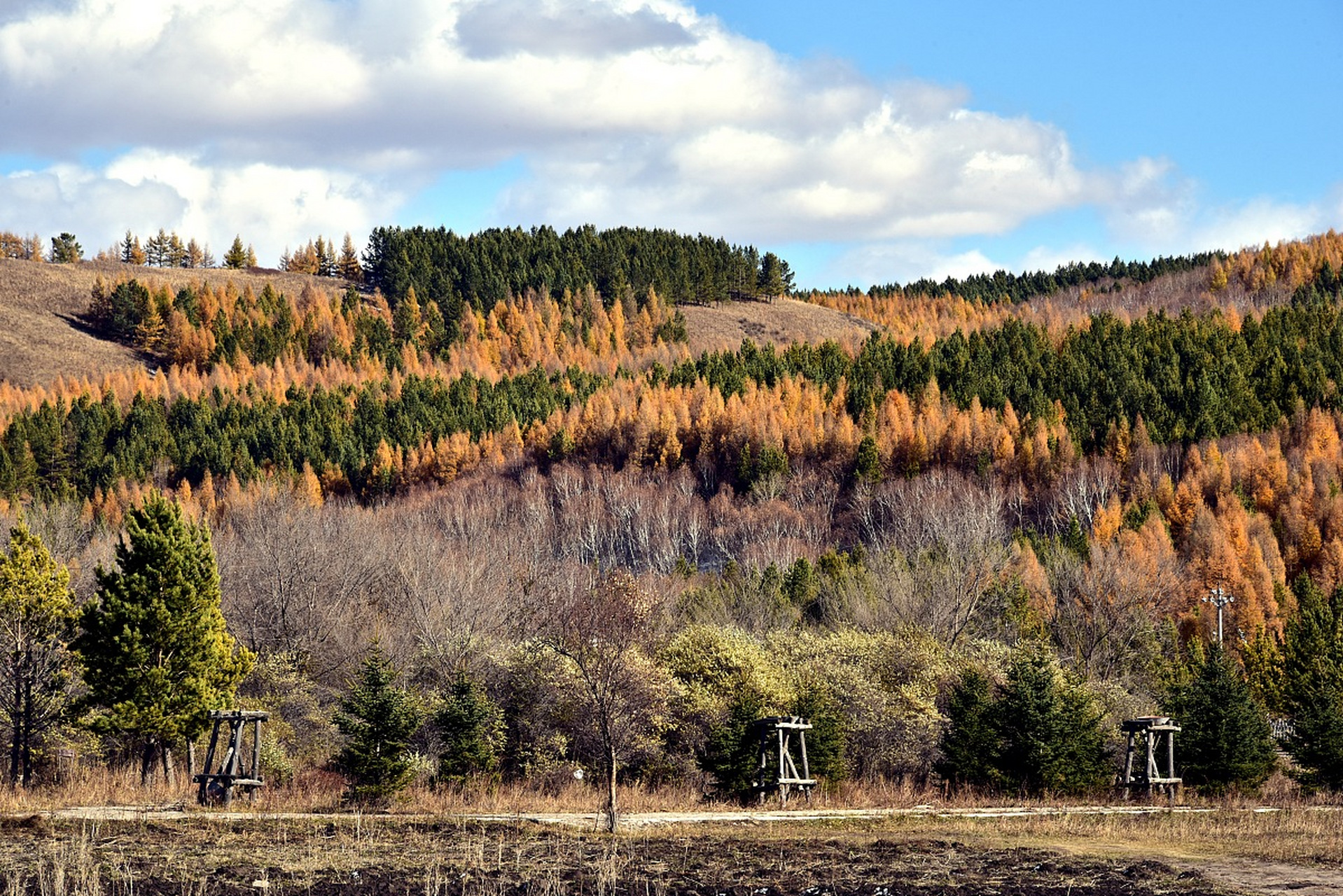 大家好,今天给大家介绍位于河北省张家口市张北县的桦皮岭景区.