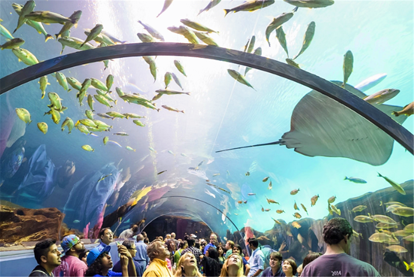 日本冲绳美丽海水族馆.