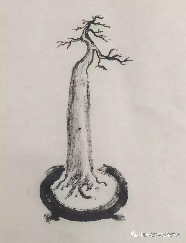 爱木盆景i单枝封顶,单枝成景的诠释