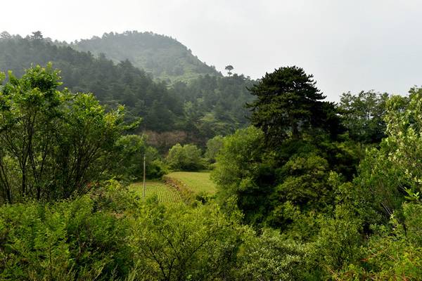 甘肅的窮山溝出了兩位皇后,還有紅溝寺,供奉活佛舍利的藏傳寺廟