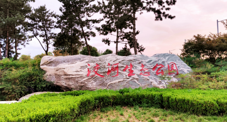 洨河生态公园应该是城南最近的一座大型公园,从2014年基本建成时就