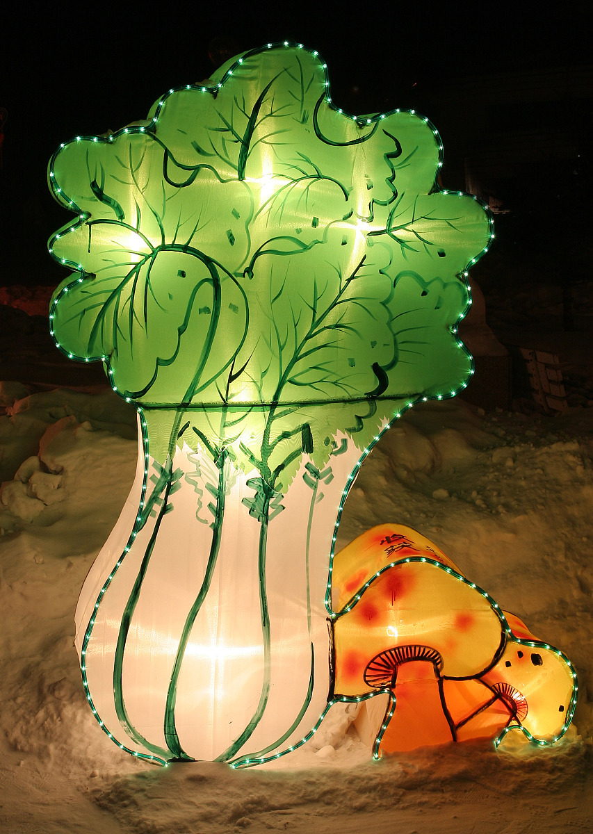 甲状腺问题,#动态连更挑战# 白菜属于十字花科蔬菜,含有硫代葡萄糖苷